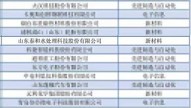 山東省科技領(lǐng)軍企業(yè)名單 山東省科技領(lǐng)軍企業(yè)名單